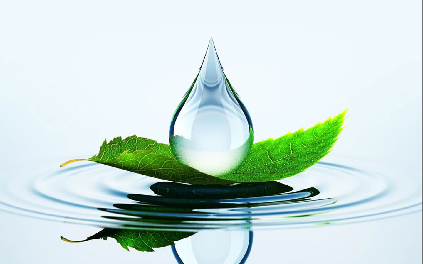 Spa-1440x9000-38be55235056a36_38be56de-5056-a36a-0bdf426b42cf5155